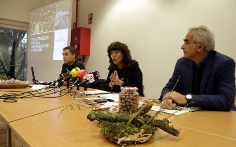 El passat novembre, la consellera Teresa Jordà va presidir la presentació del pla estratègic per a la valorització de l'avellana, a Reus. FOTO: CEDIDA.