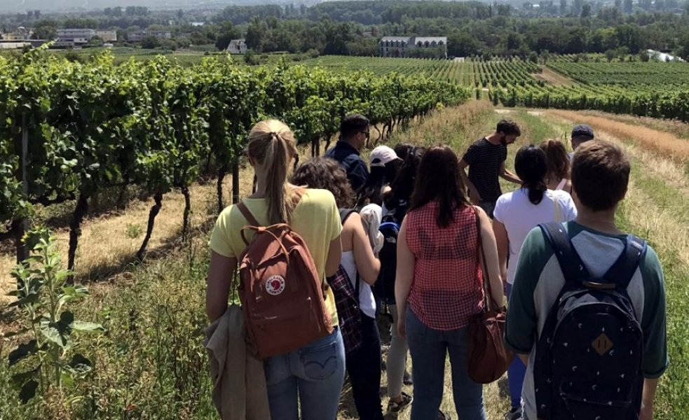 Estudiants de l'escola d'estiu de viticultura ecològica visitant les vinyes de la Universitat de Geisenheim, a Alemanya. FOTO: CEDIDA.
