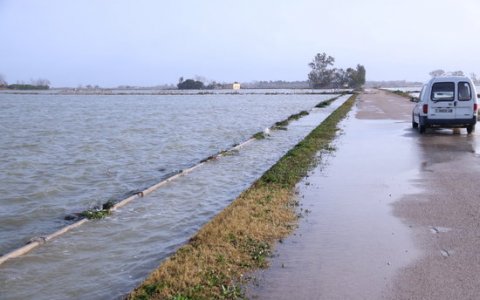 Una de les zones inundades pel temporal Glòria. FOTO: ACN.