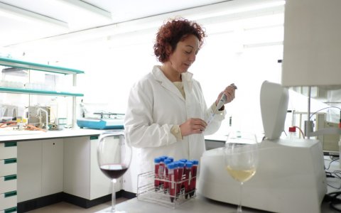 La finca de Mas dels Frares, de la URV, disposa d’un laboratori i es fan proves de vinificació també en un celler. FOTO: XAVI JURO.