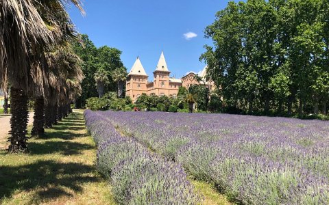 Una imatge de l'interior del Parc Samà. FOTO: CEDIDA.